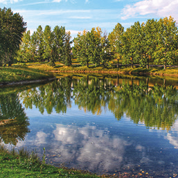 Carburn Park